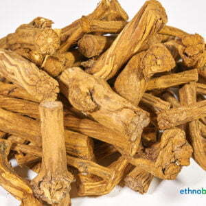 Banisteriopsis caapi 06