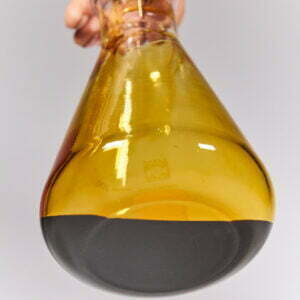 Banisteriopsis caapi Set 08