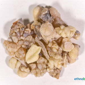 Boswellia frereana 04