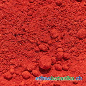 Croton lechlerie rohstoff 01