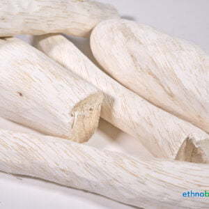 Synaptolepis Kirki 03