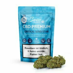 critical sensi star nano nuggs swiss botanic hydrokultur indoor hanfblueten 04