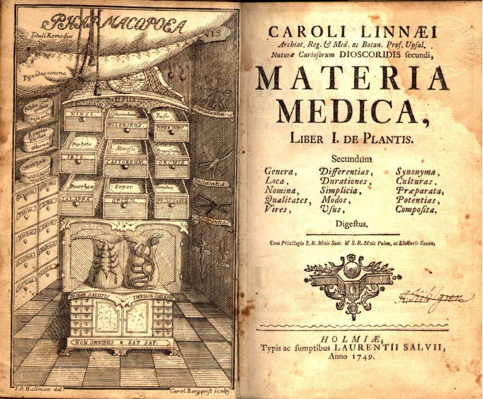 de materia medica book